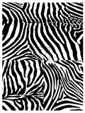 Silk Screens (if you would like to order silkscreens only, we will refund all but $2 of the shipping charges)